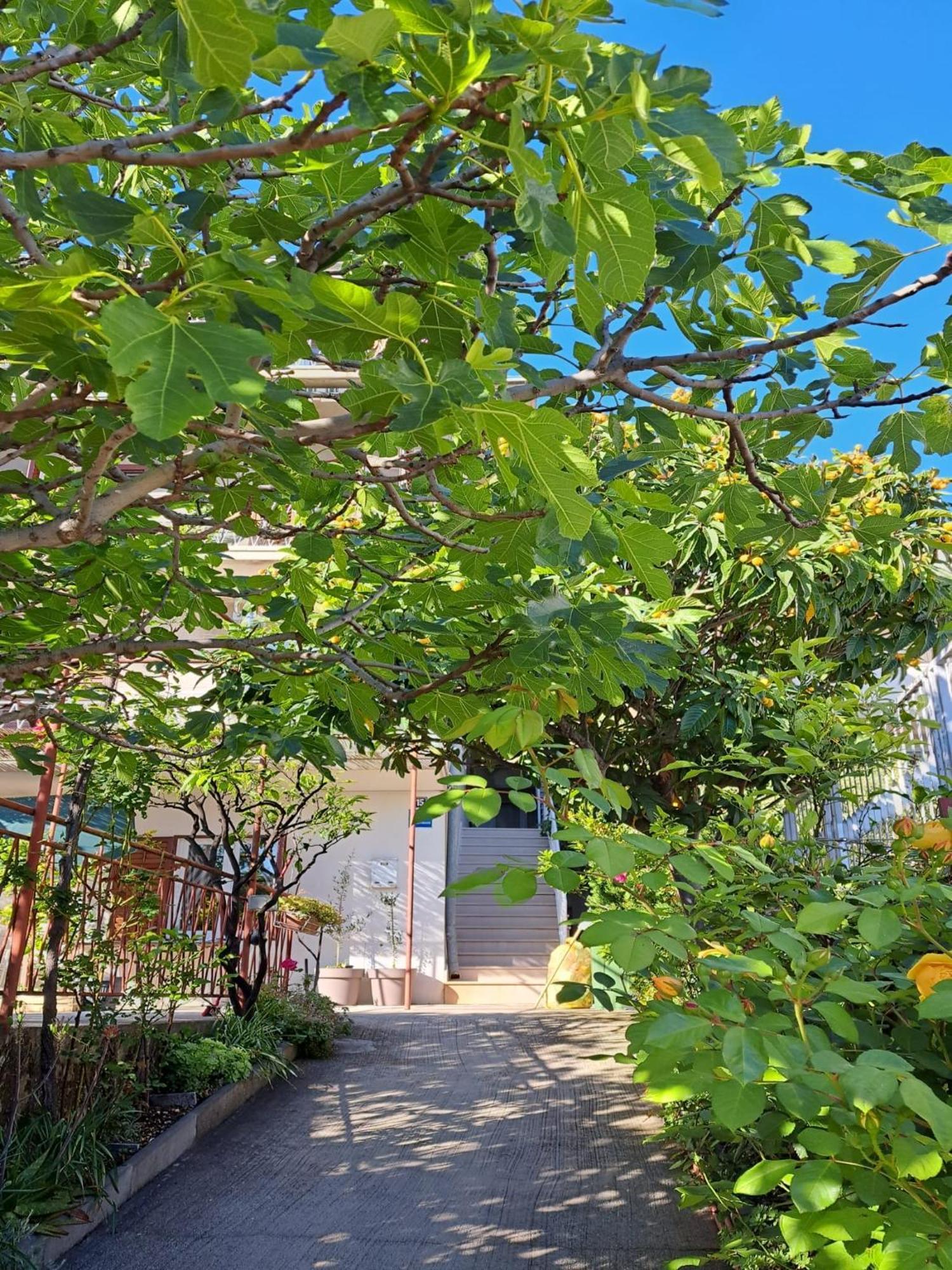 Apartman Adriatic Pavlinovic - Makarska Ngoại thất bức ảnh
